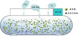 兼氧膜生物反应器技术